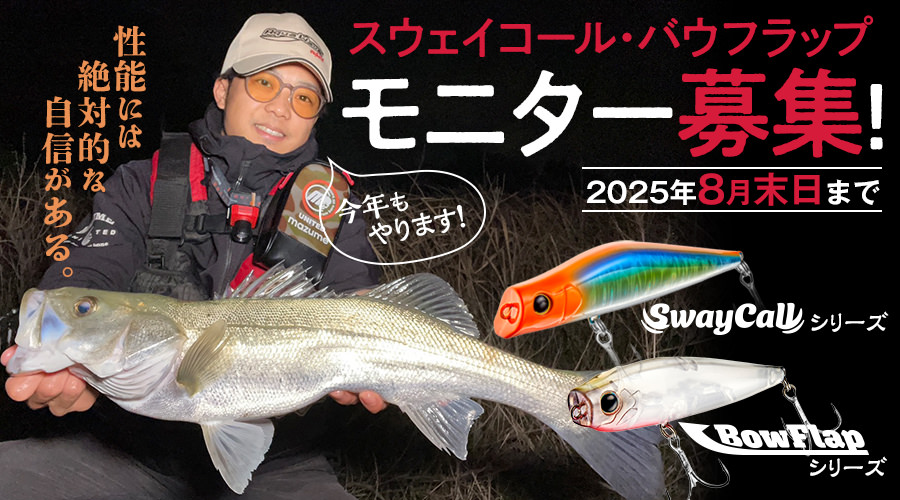 スウェイコール・バウフラップ　モニター募集！　＜2025年8月末日まで＞