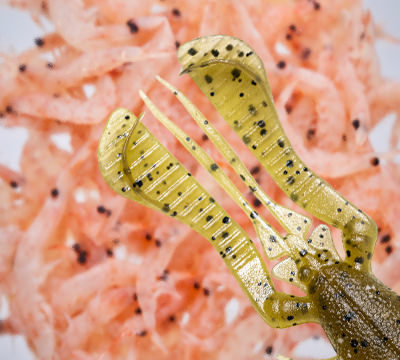 特製フレーバーを配合しているので、匂いでも魚にアピール